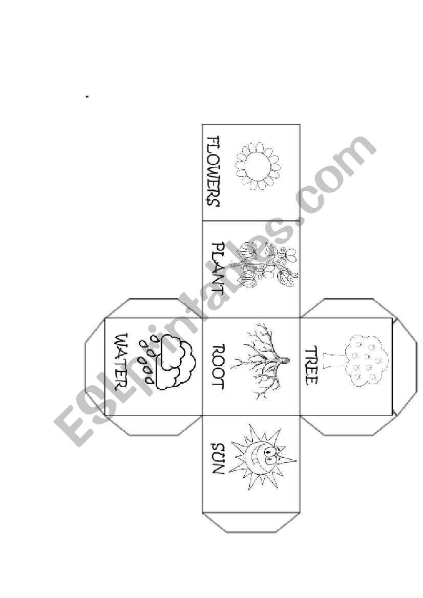 Plants die worksheet