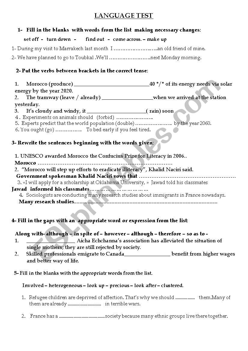 LANGUAGE TEST worksheet