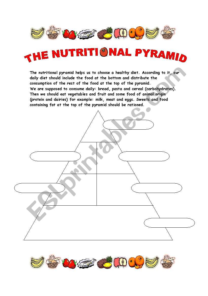 The food pyramid worksheet