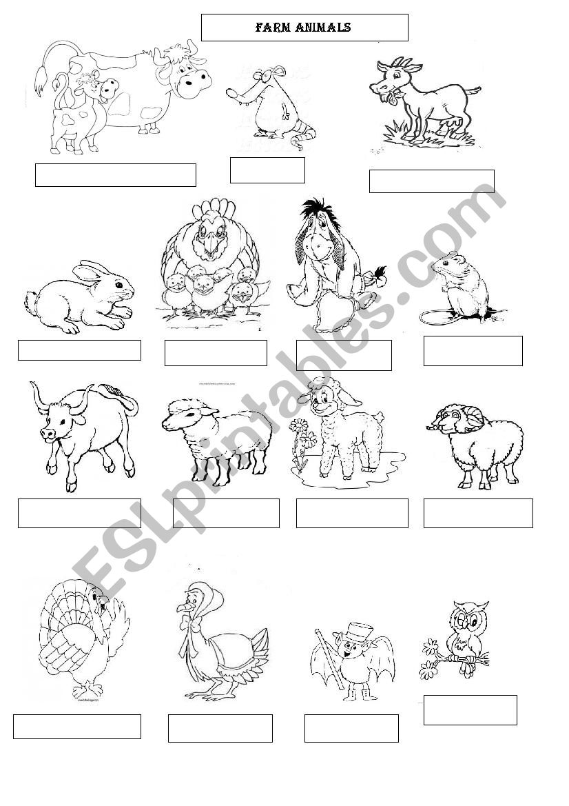 farm animals worksheet