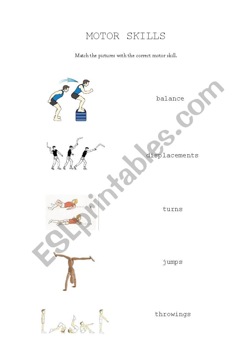 Motor Skills worksheet