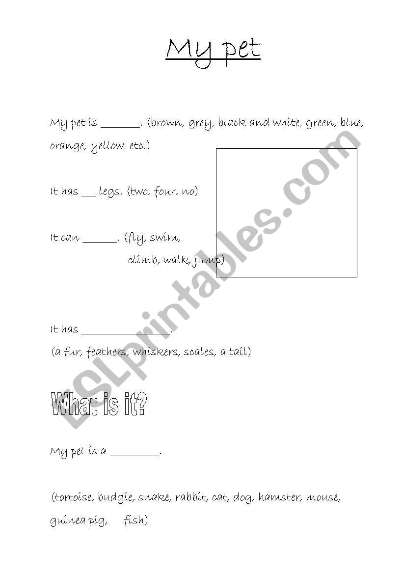 My pet worksheet