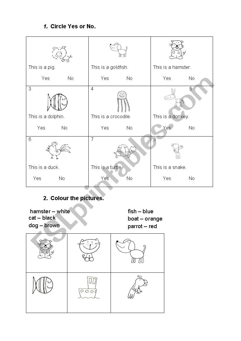 Animals and colours worksheet