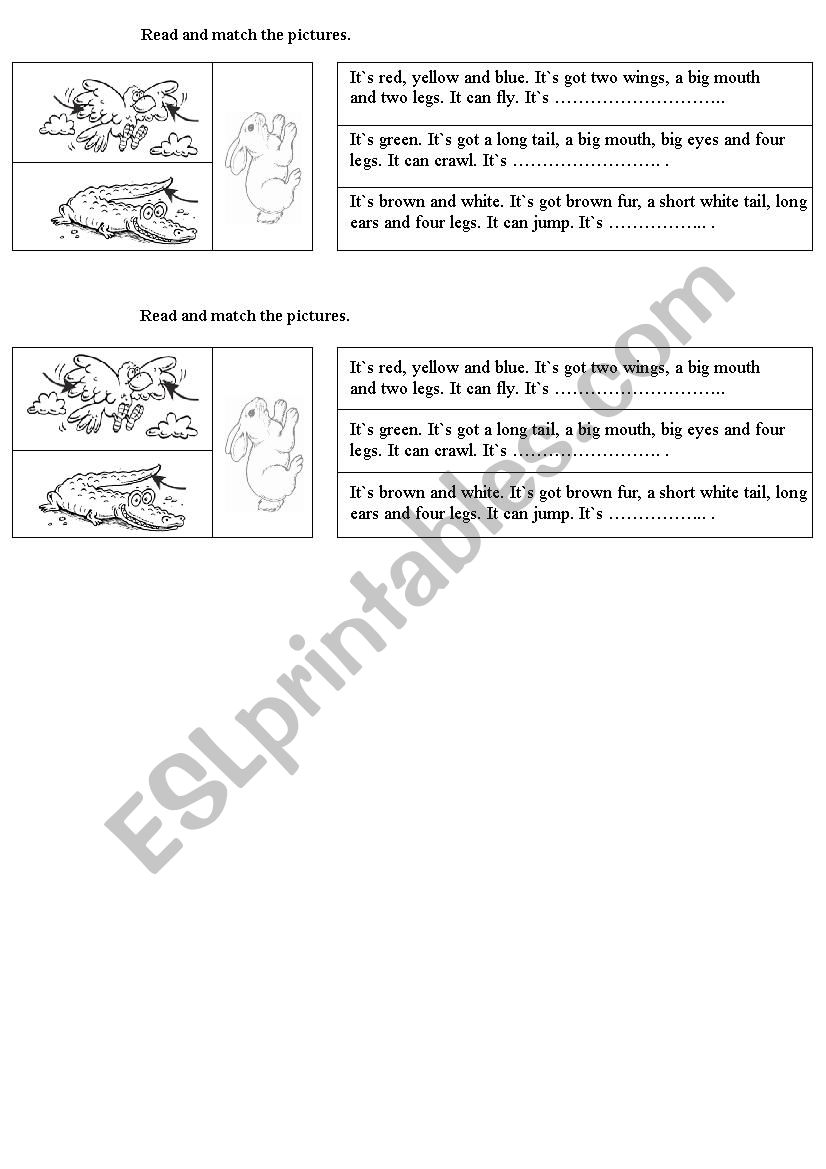 animals worksheet