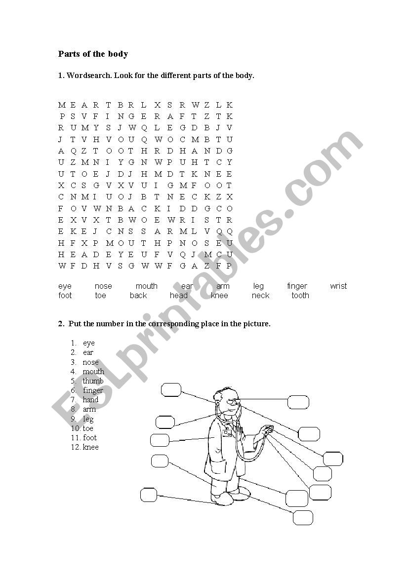 Parts of the body worksheet