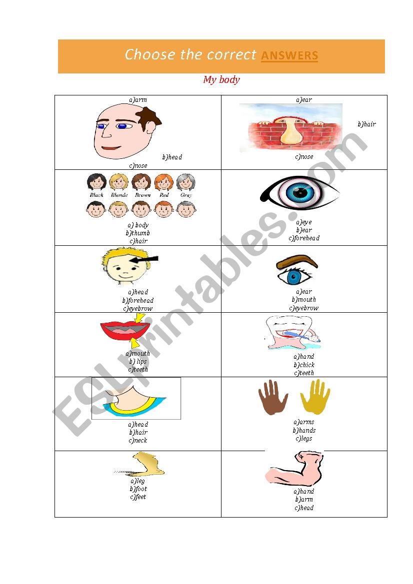 My body worksheet