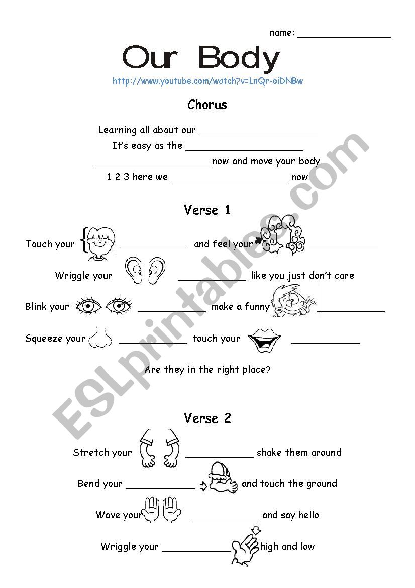 Our Body worksheet
