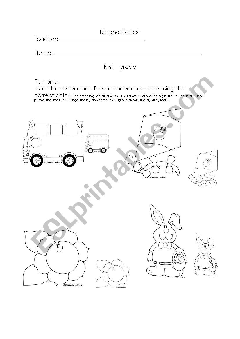 Diagnostic test  worksheet