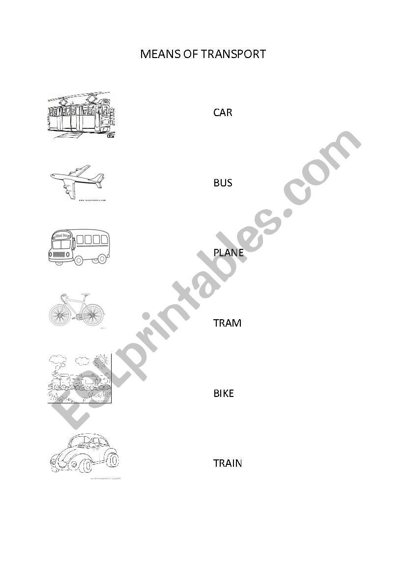 Means of transport worksheet