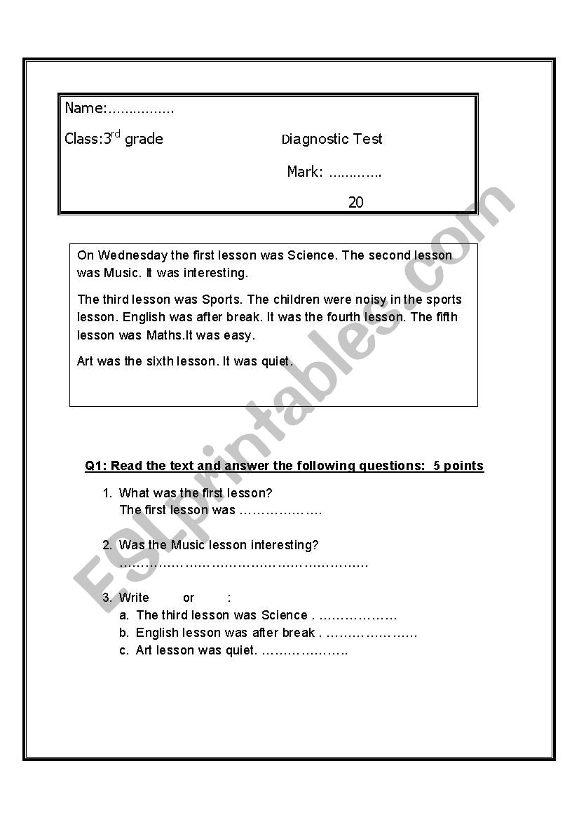 diagonistic test worksheet