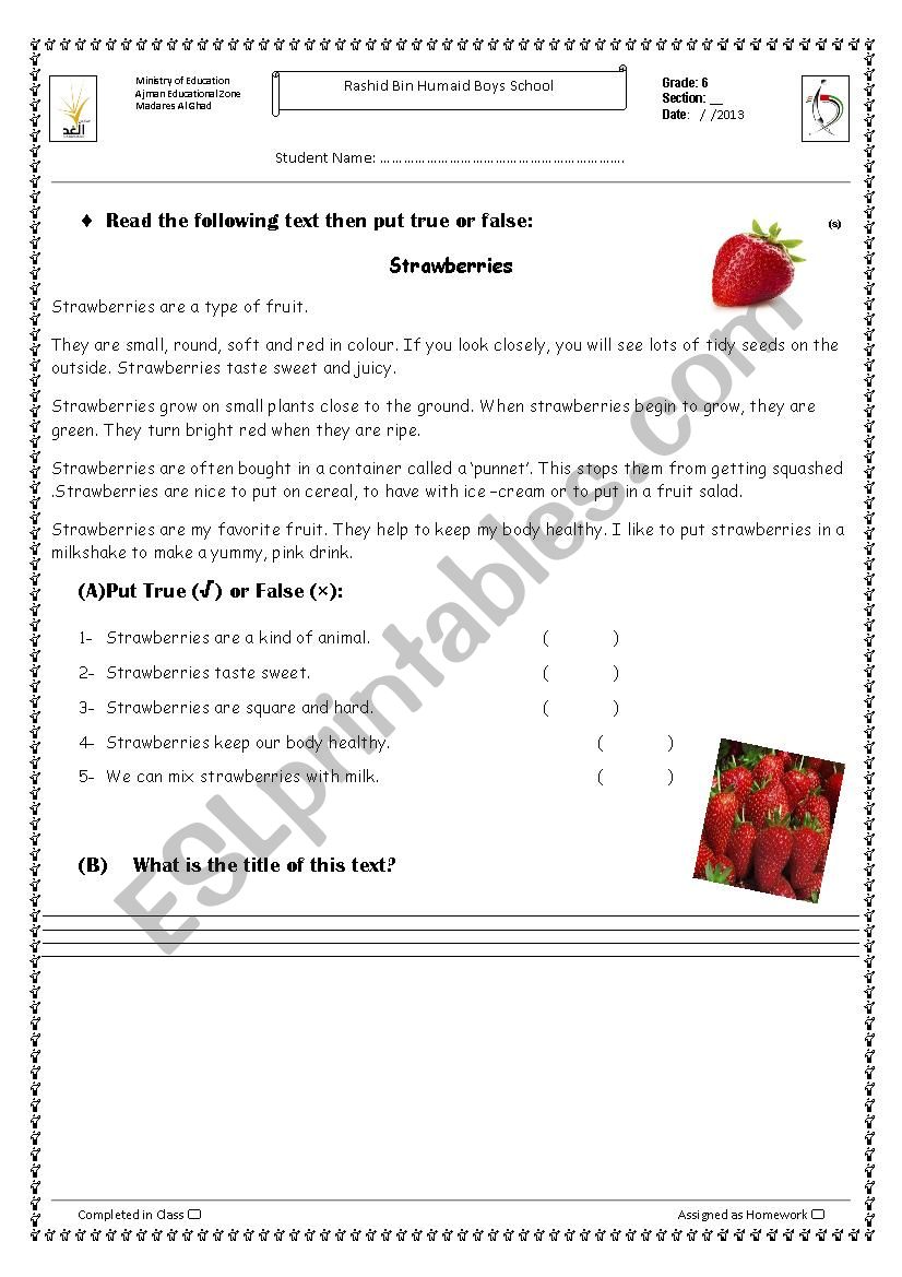 informational text worksheet