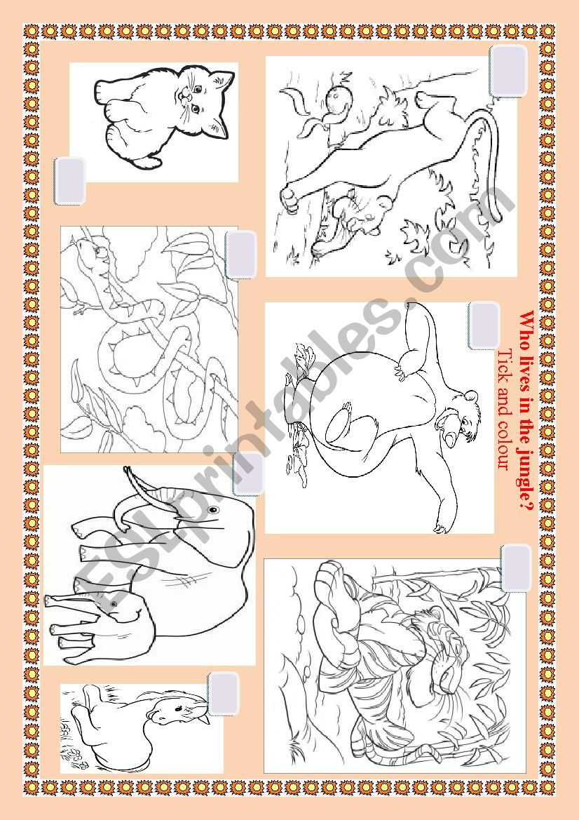 Who lives in the jungle? worksheet