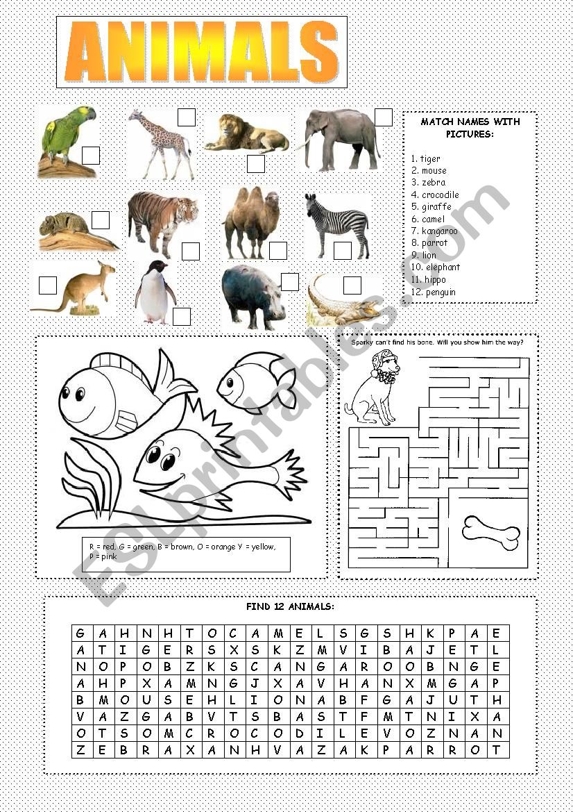 ANIMALS  worksheet