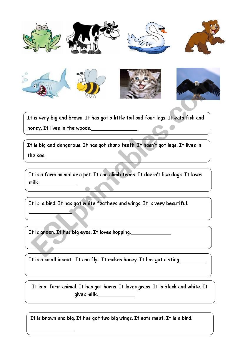 ANIMAL RIDDLES-2 (Descriptions of 24 animals)