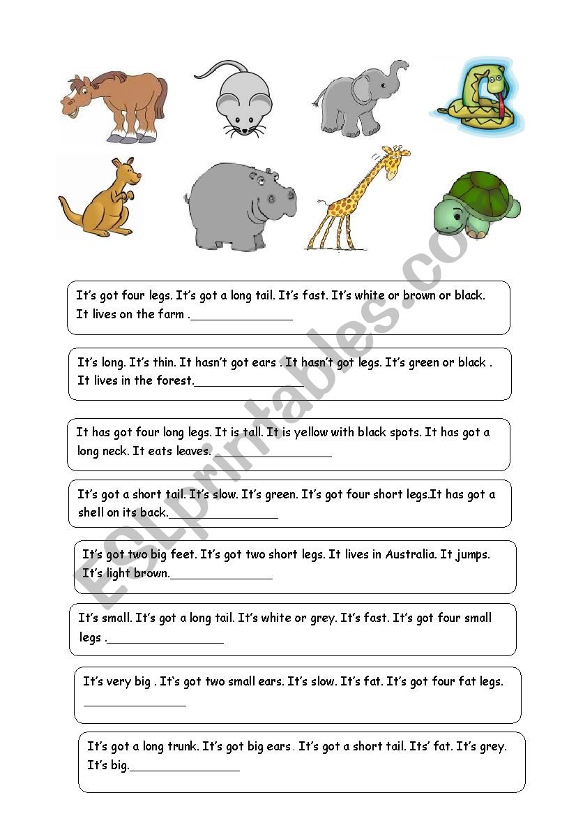 ANIMAL RIDDLES-3(Descriptions of 24 animals) - ESL worksheet by  zelihakocyigit