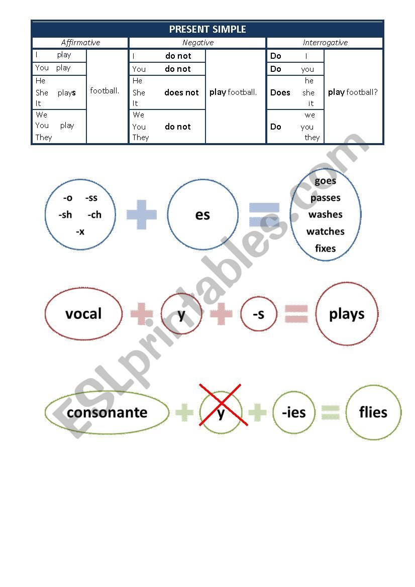 Present simple explanation and exercises