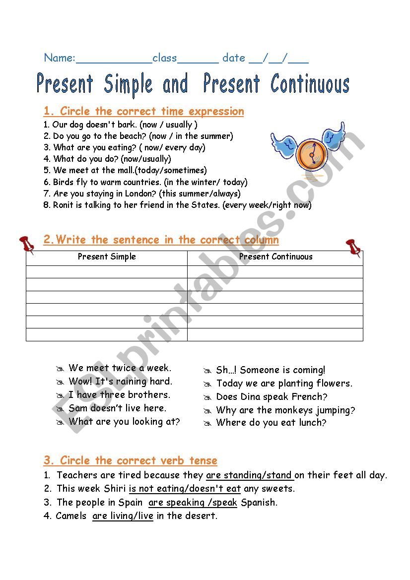 The present  tense worksheet