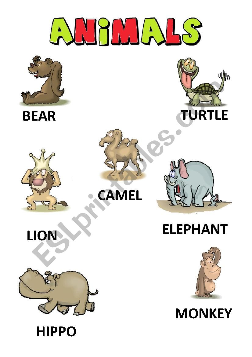 Animals worksheet