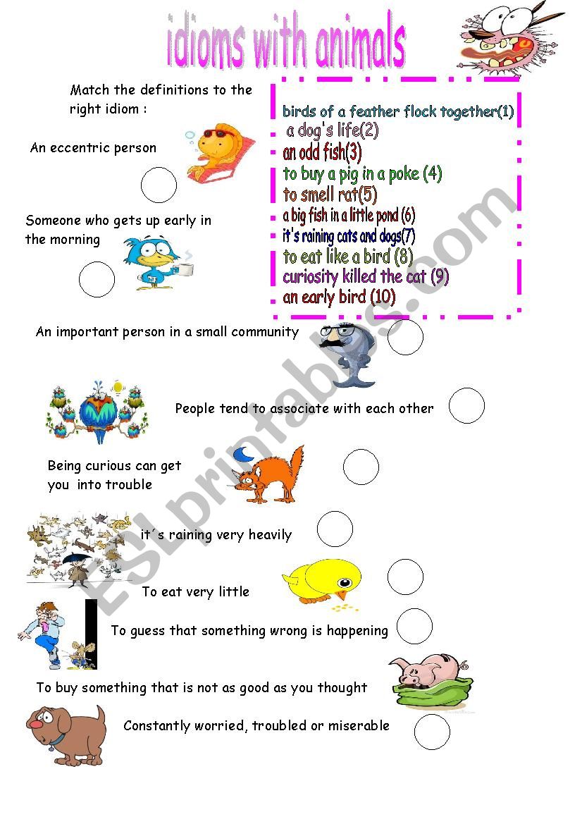 idioms with animals  worksheet