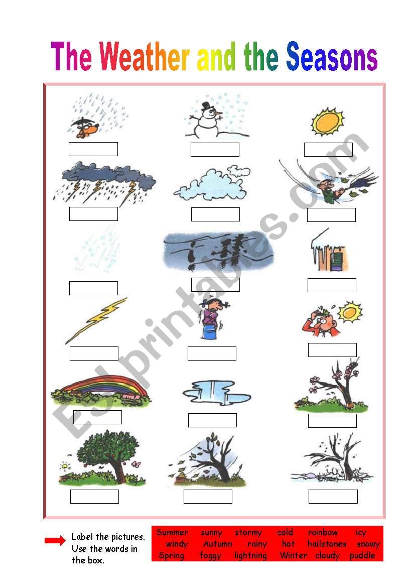 Weather and Seasons worksheet