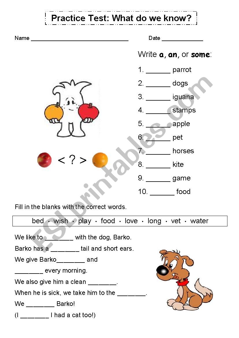 Practice Test: What do we know? *Fully editable