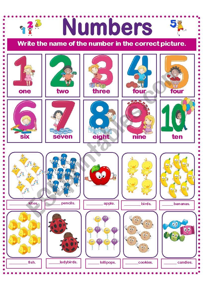 NUMBERS ACTIVITY  worksheet