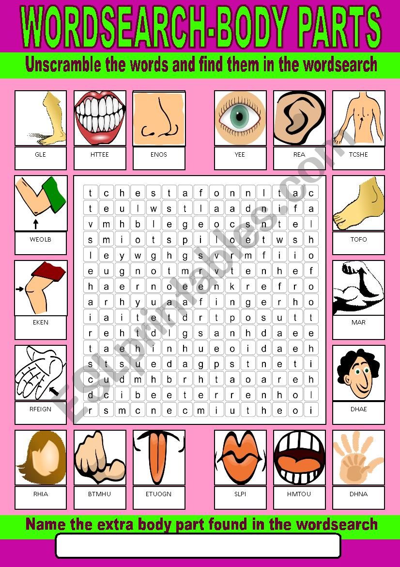 Body Parts Wordsearch worksheet