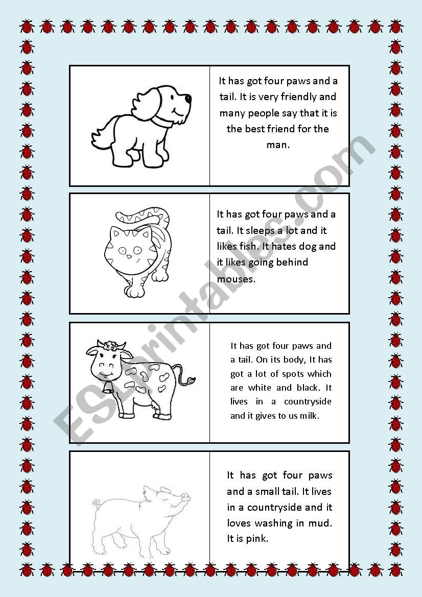 Describing animals worksheet