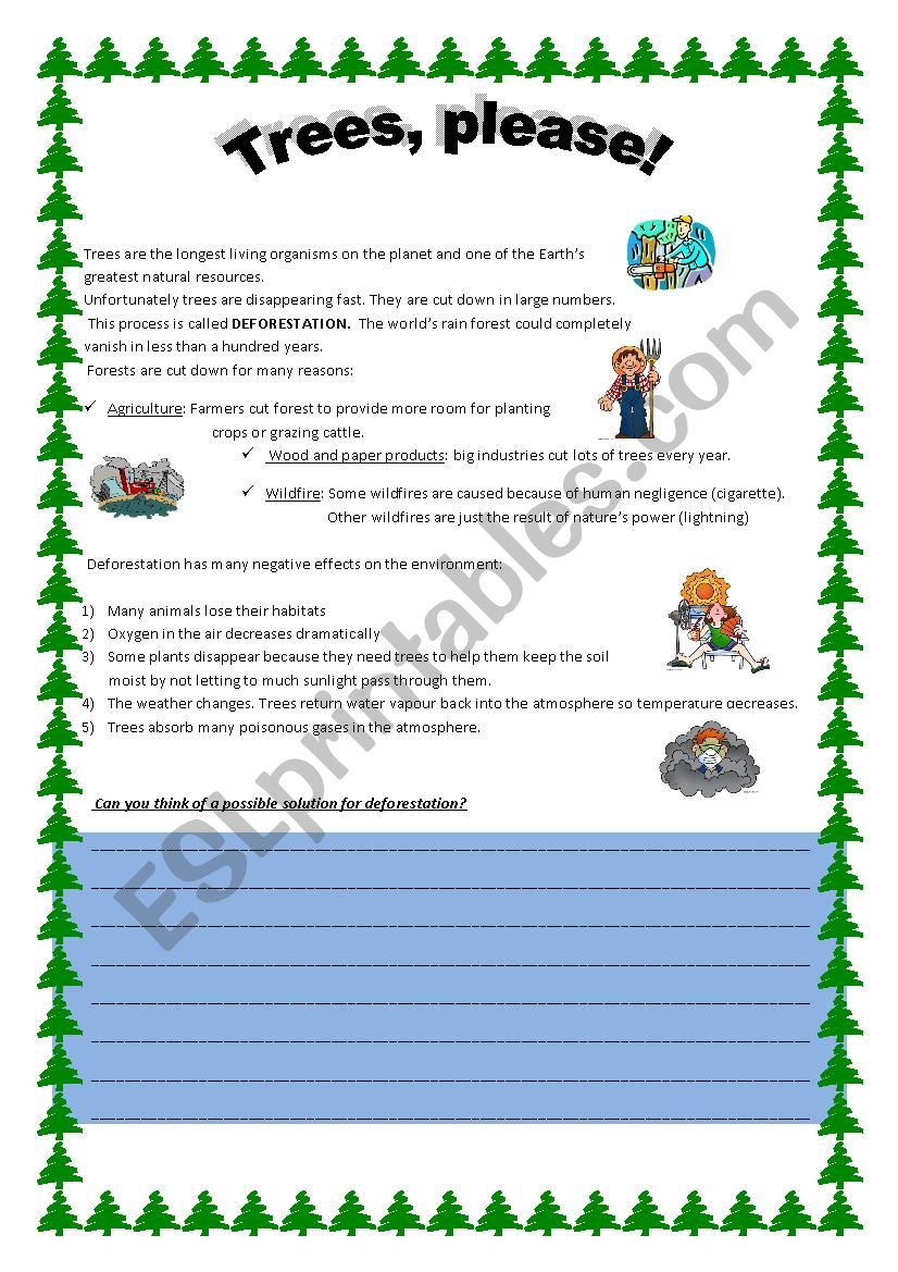 Deforestation worksheet