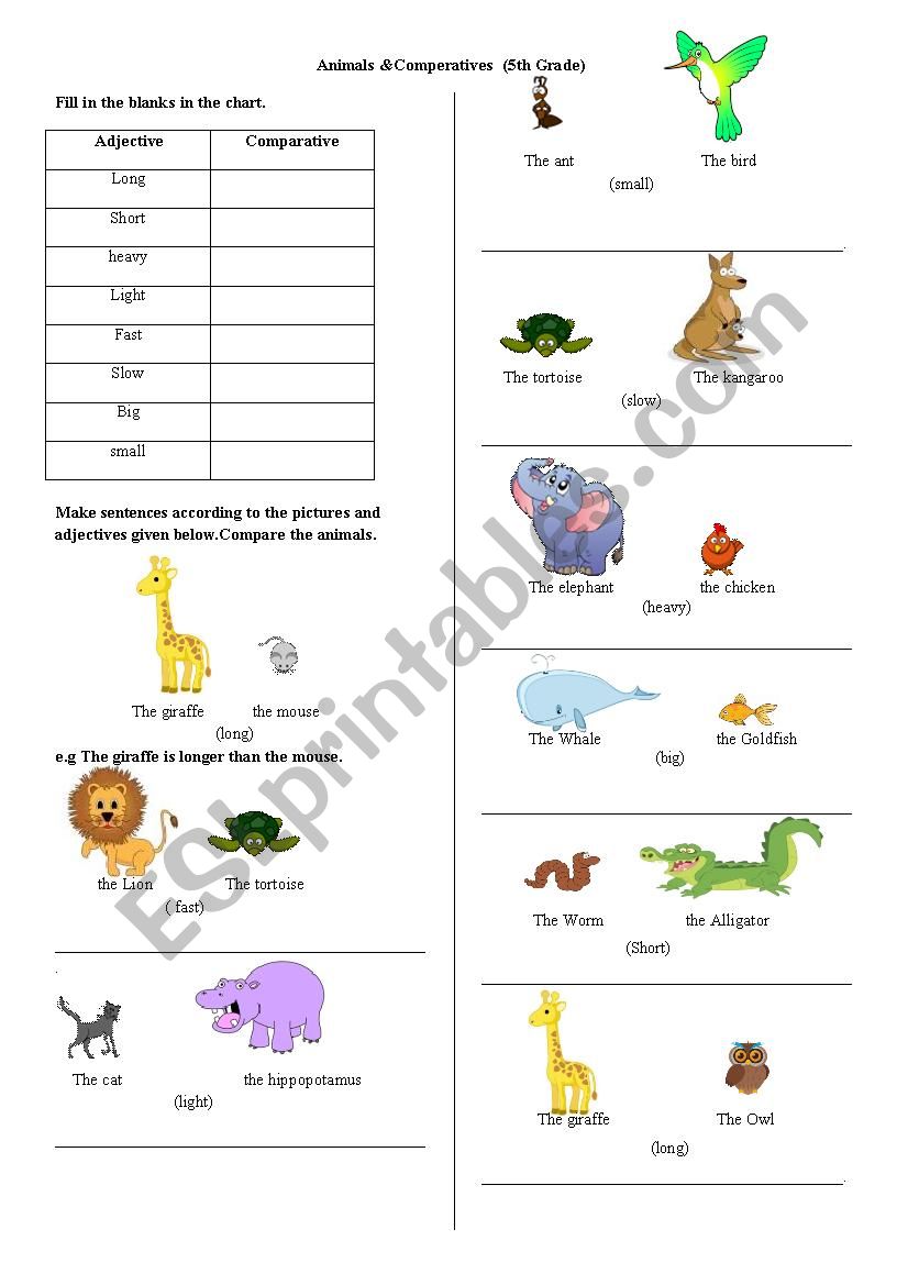 animals-comparatives worksheet