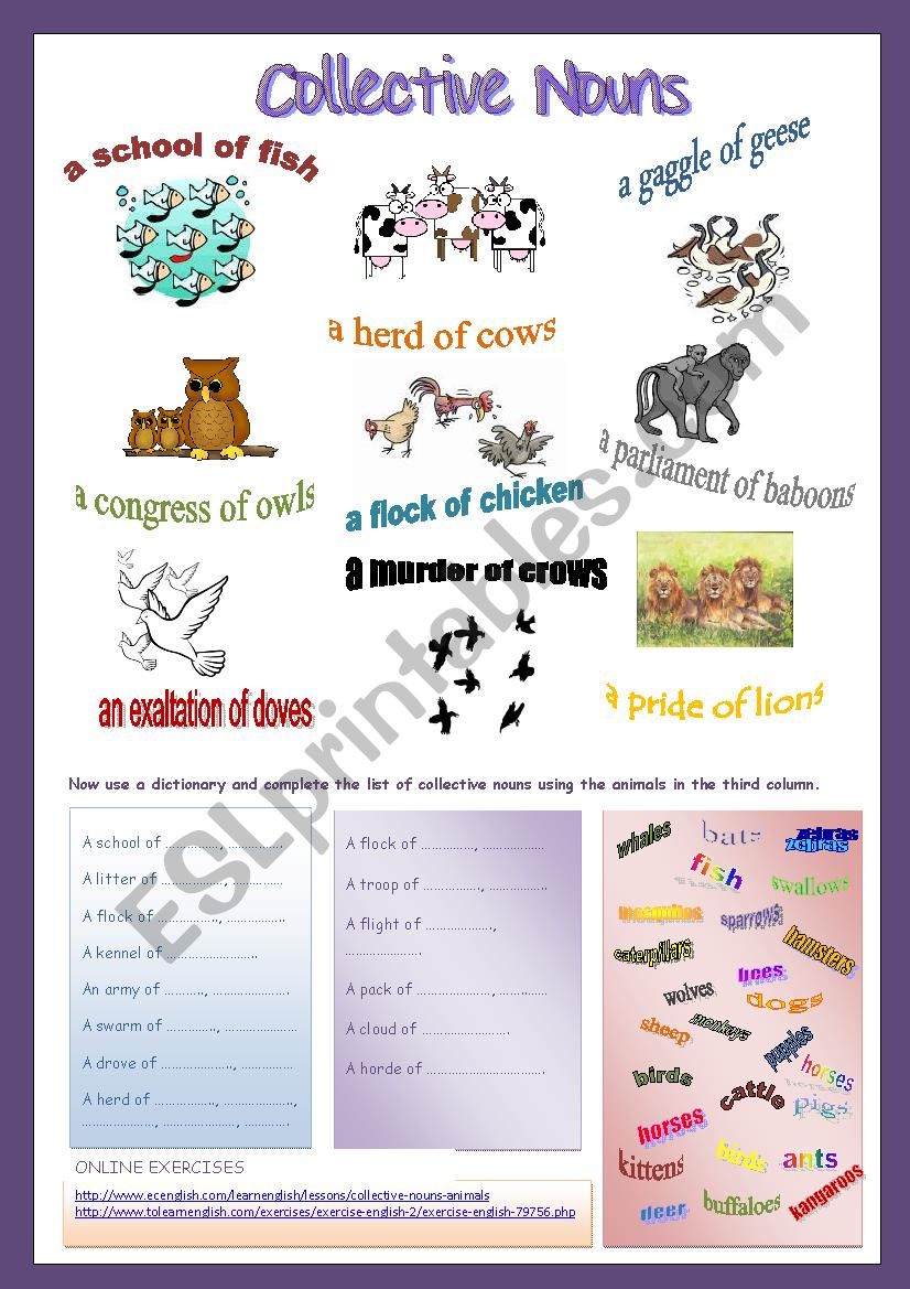 Collective Nouns- ANIMALS worksheet