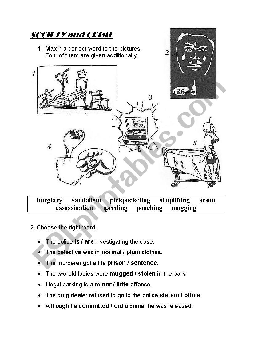 Society and Crime worksheet