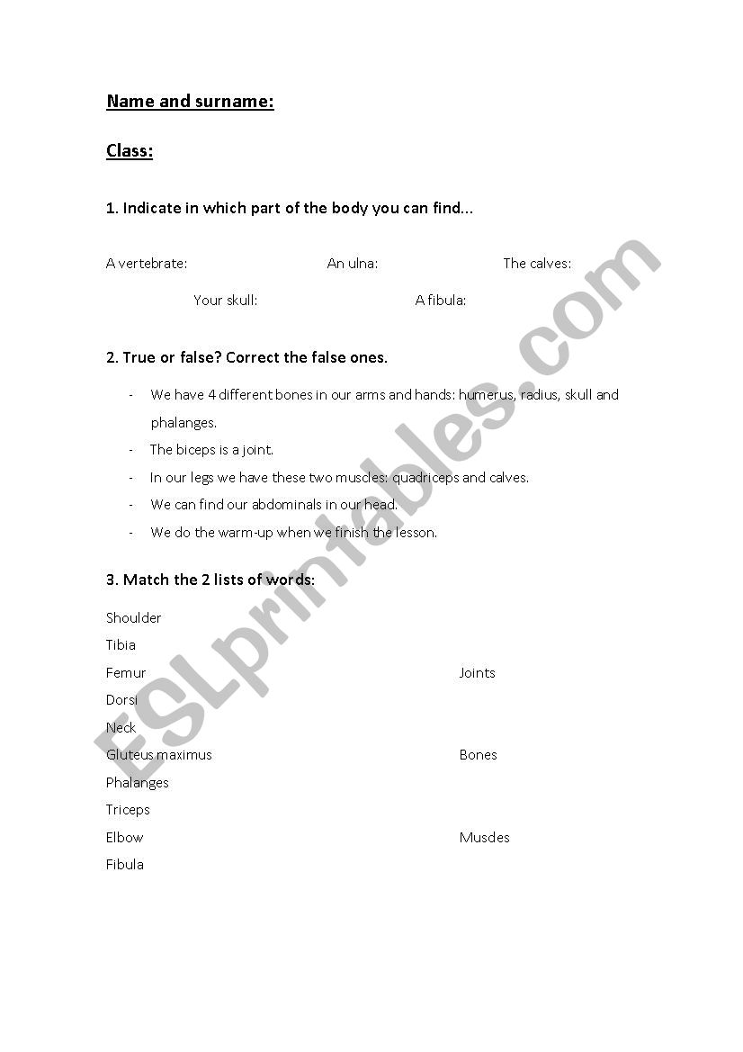 Locomotor system worksheet