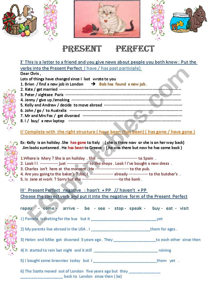 Present perfect  worksheet