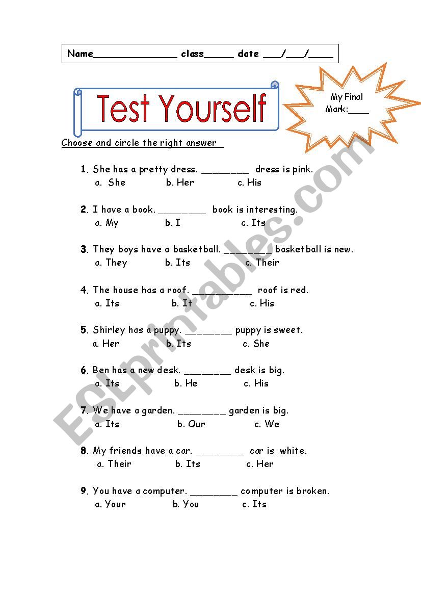 Test Yourself - possesive adjectives