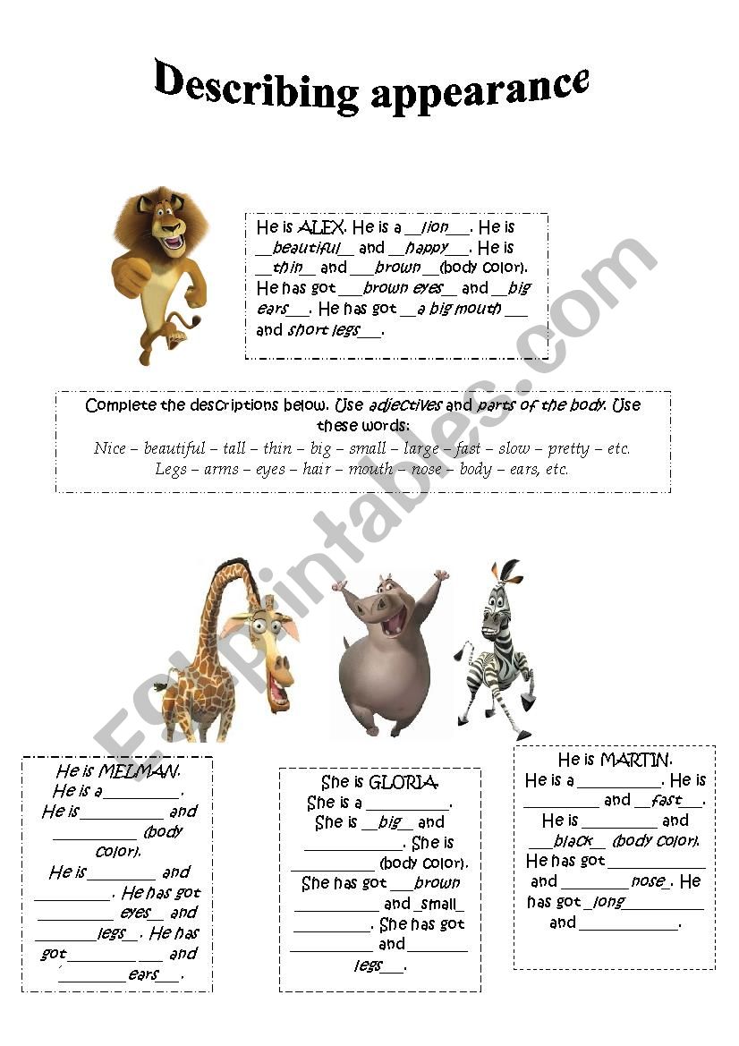 Describing appearance worksheet