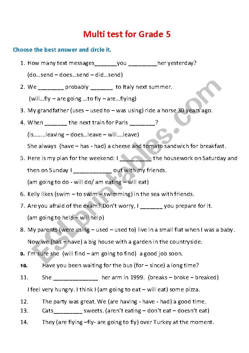 Test - Grade 5 worksheet