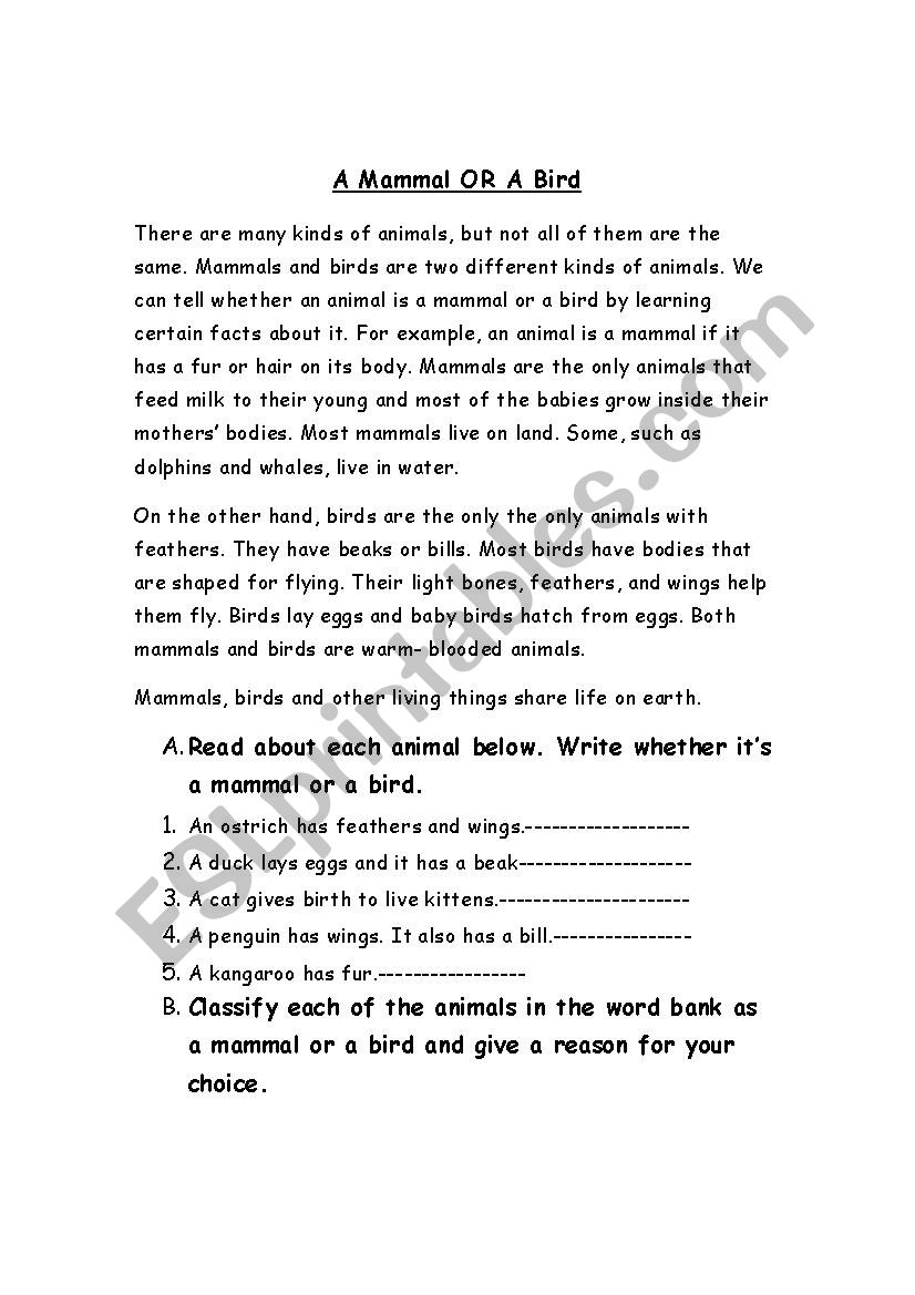 A mammal or a bird worksheet