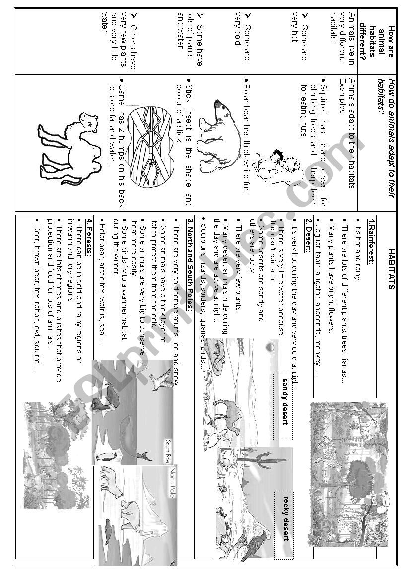 ANIMALS AND HABITATS worksheet