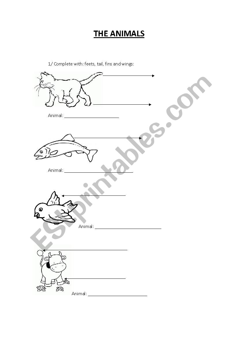 The parts of animals worksheet