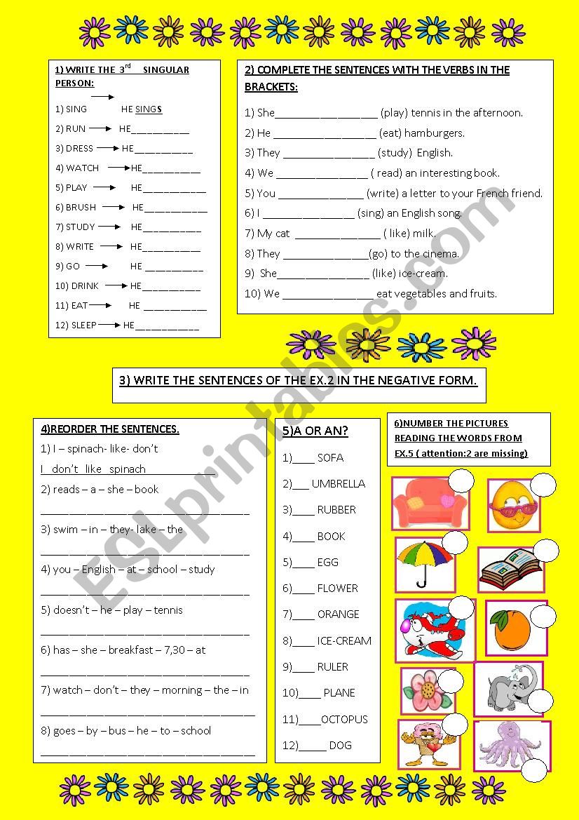 present simple revision and articles