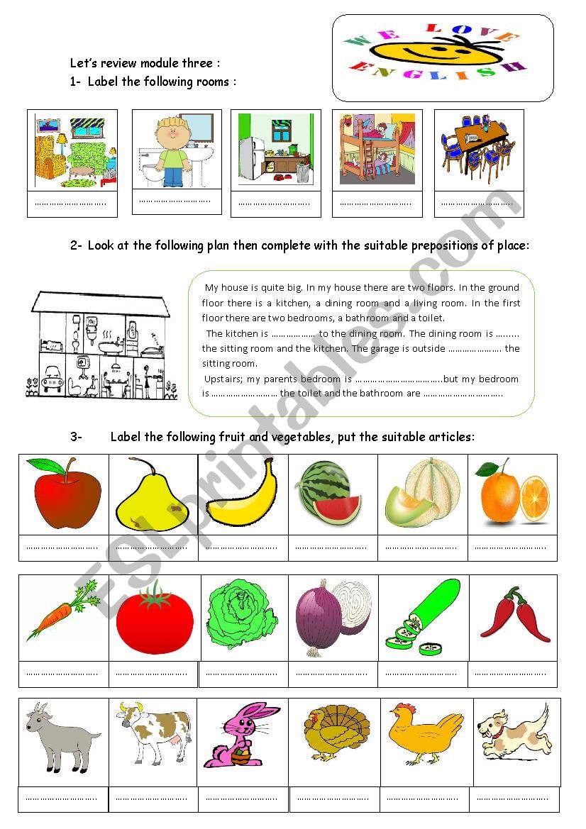 lets review module3  worksheet