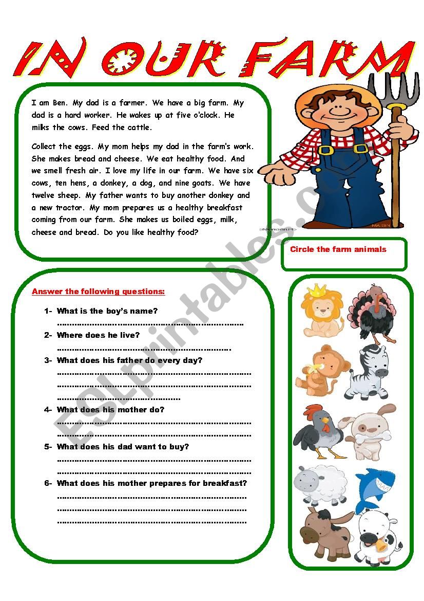 reading worksheet