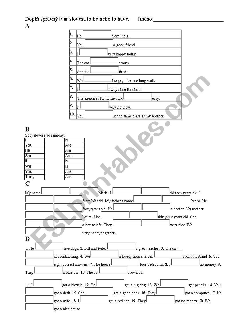 Fill have_be worksheet