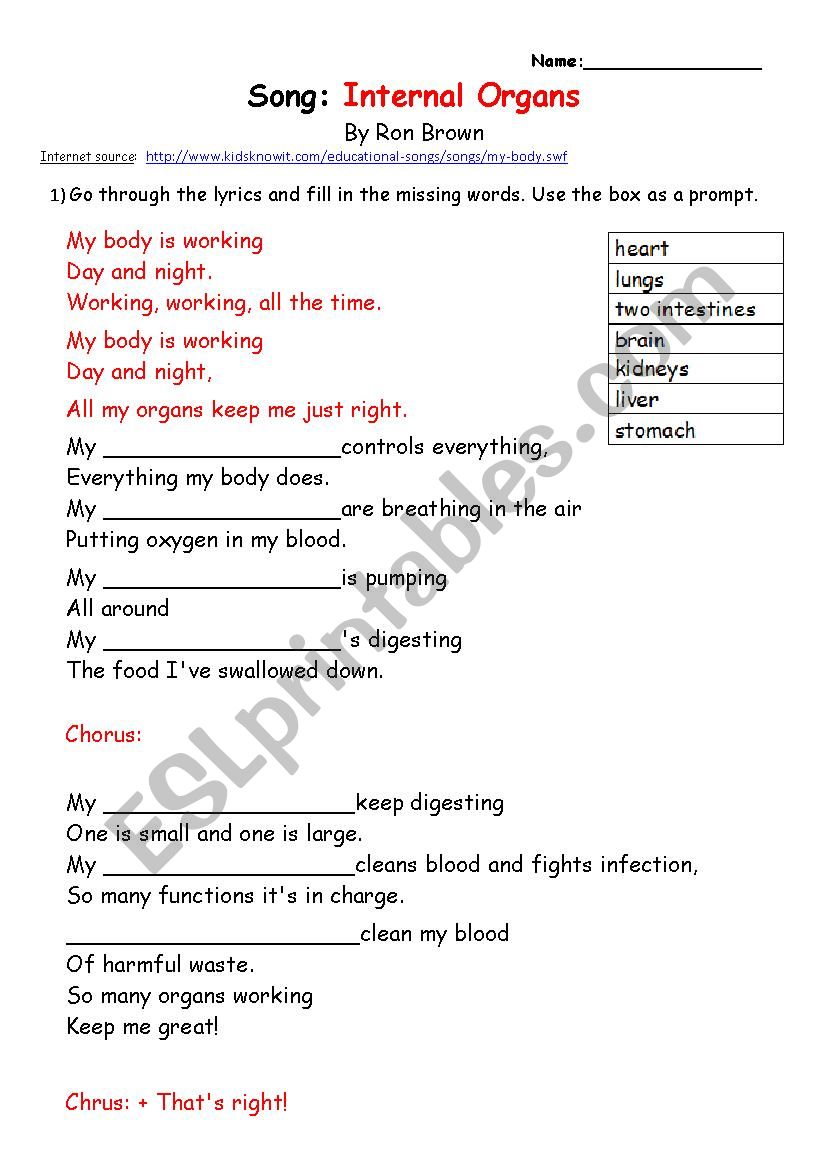 internal organs worksheet