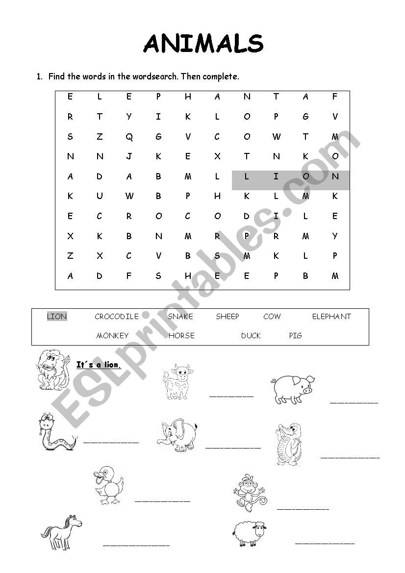 Animals worksheet