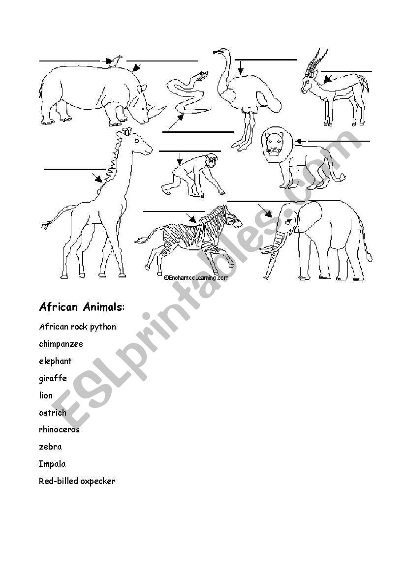 African animals worksheet