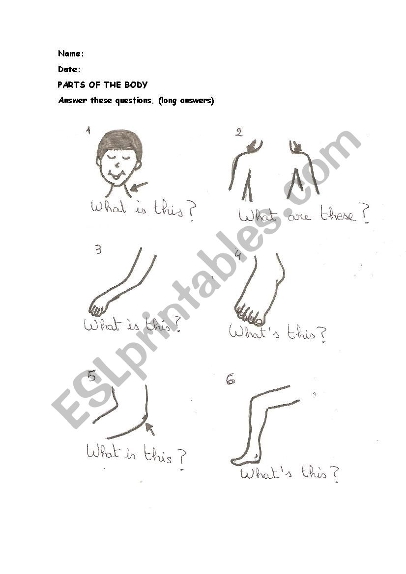 Parts of the body worksheet