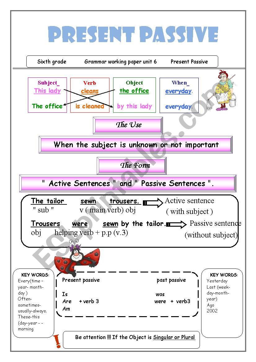 present and past passive worksheet