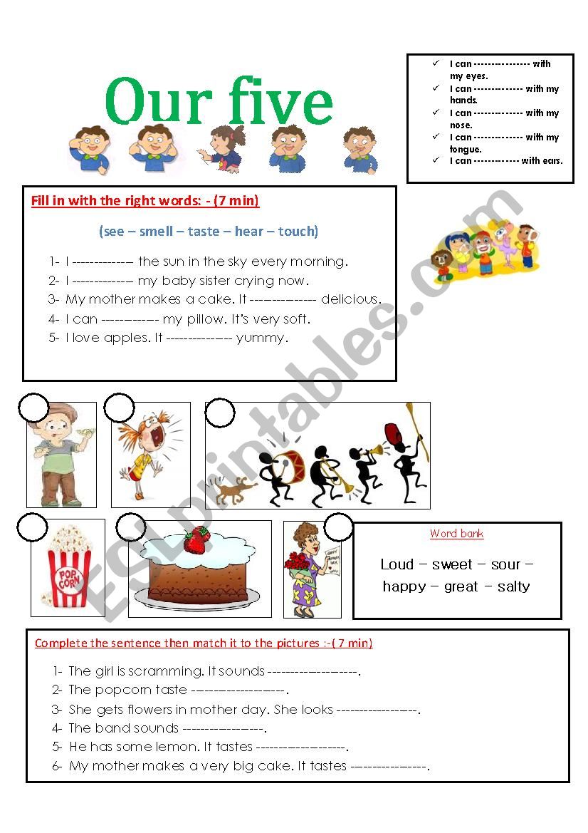 our five senses worksheet